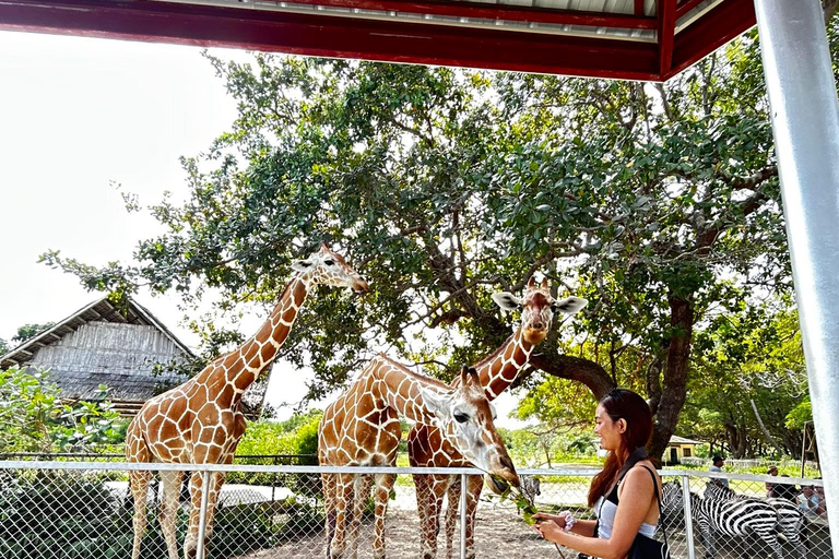 Coron: Calauit Safari Adventure