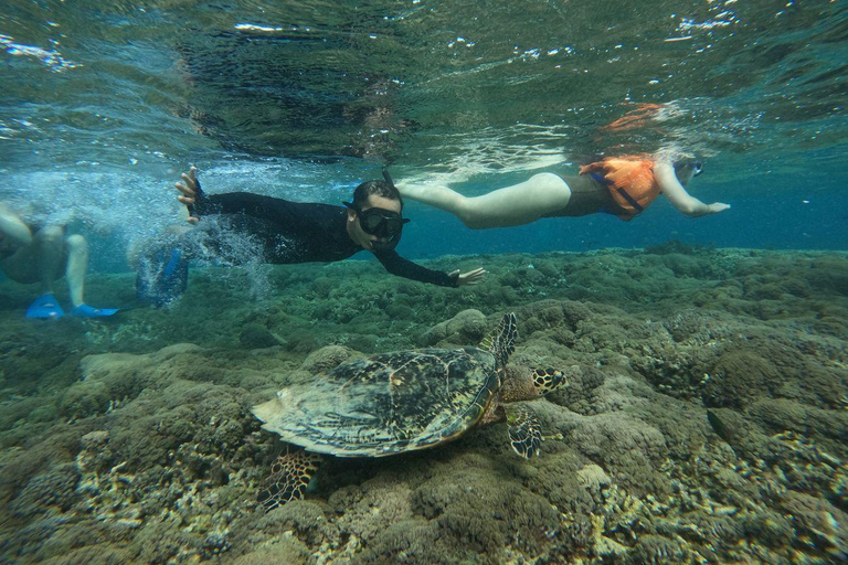 Lombok: Snorkeling Trip to The Best Two Gilis From Lombok