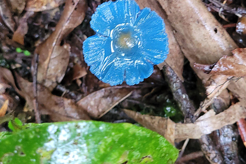 DESAFIO MANTIQUEIRA SELVAGEM - 12 dias desafiadores pelas montanhas!!