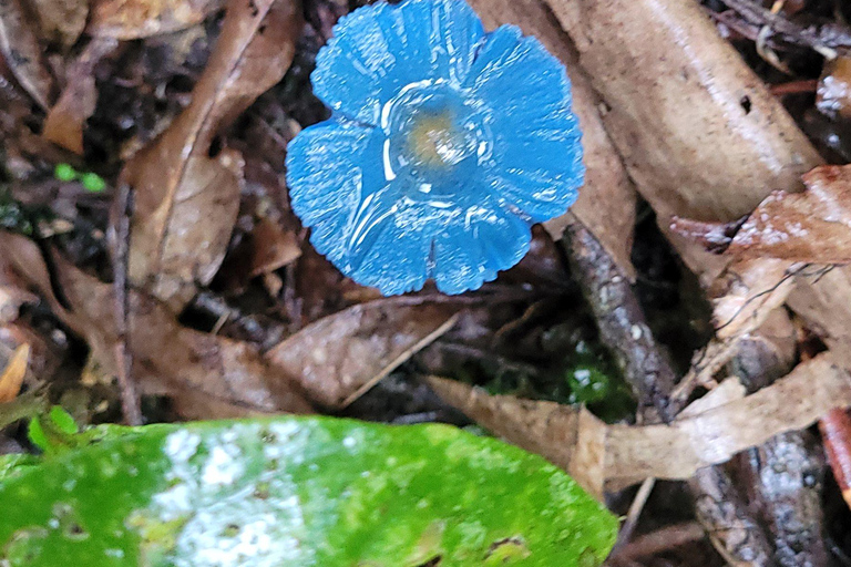 DESAFIO MANTIQUEIRA SELVAGEM - 12 dias desafiadores pelas montanhas!!