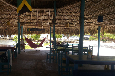 Private: Rural & Urban Dominican Life Tour: Flavors, Fields