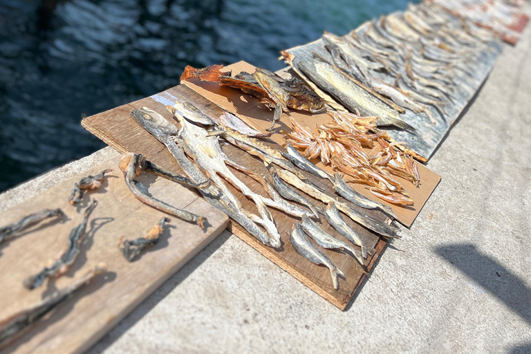 KAMPUNG GIPSI-DAY TRIP TO BAJAU HEAVEN FREE NASIGORENG & TEH