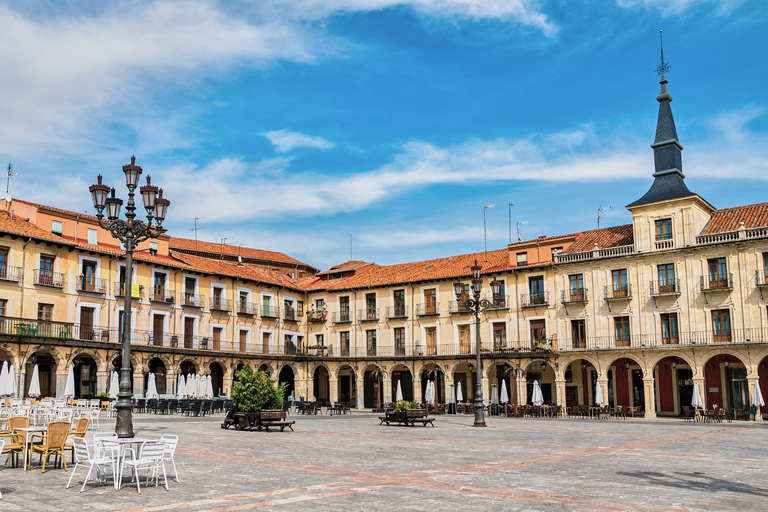 León: Spanish Walking Tour of City and Cathedral