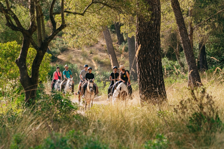 Mallorca: Mountain Horse Riding Experience w/ Brunch Option 1-Hour Horseback Riding Tour with Brunch and Pickup