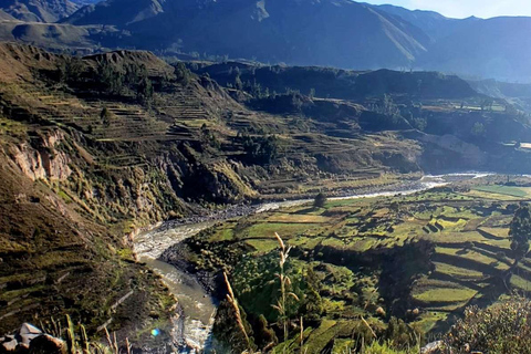 Colca Canyon dagstur - Avslutning till Puno