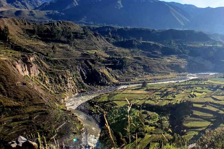 Colca Canyon dagstur - Avslutning till Puno