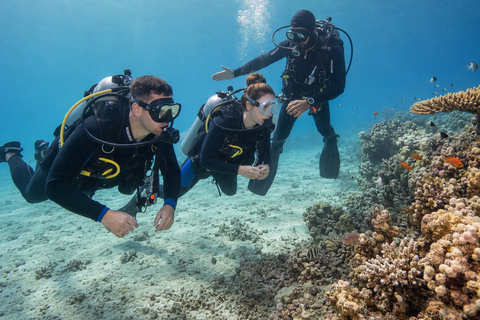 Marsa Alam: Abu Dabbab Beach Snorkeling or Diving Trip Abu Dabbab Beach Snorkeling