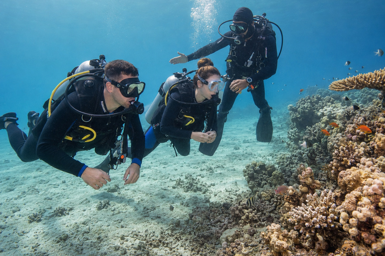 Marsa Alam: Abu Dabbab Beach Snorkeling or Diving Trip Abu Dabbab Beach Snorkeling