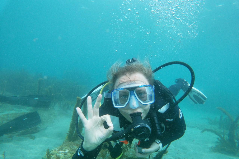 Från Leigh: Goat Island Prova på dykningFrån Leigh: Goat Island Introductory Diving Experience