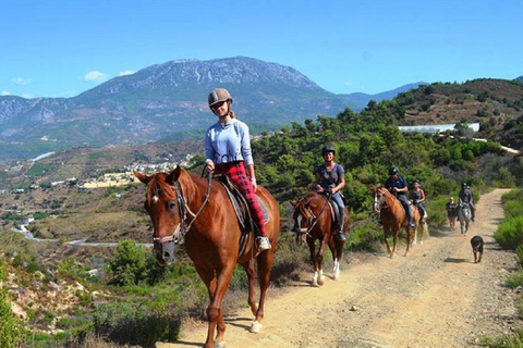 Alanya: Horseback Riding in Alanya – A Ride through Nature Alanya: Horseback Riding in Alanya – Ride through Nature
