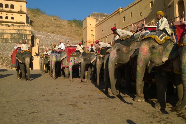 Tour de 9 días por el Triángulo de Oro de la India con Jodhpur y UdaipurExcursión en coche con conductor y guía