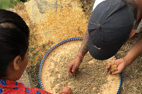 Pokhara: Sarangkot Village Coffee Culture & Local Life Hike