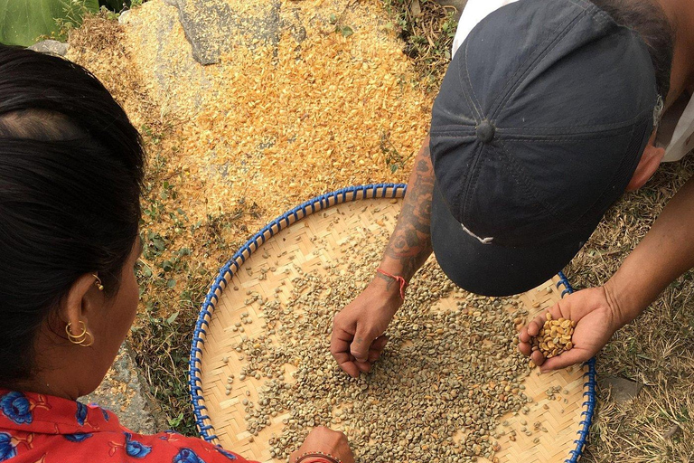 Pokhara: Sarangkot Village Coffee Culture & Local Life Hike