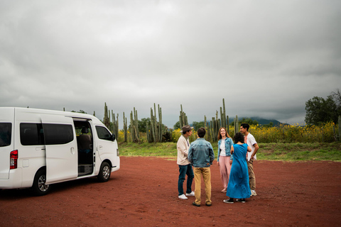Mexico City: Private Teotihuacan and La gruta Half Day Tour