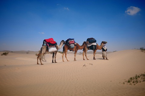 Douz Sahara: Trek and Yoga in a Nomadic Bivouac Douz Sahara: trek and yoga in a nomadic bivouac