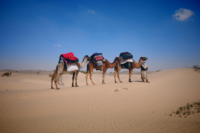 Douz Sahara: Trek and Yoga in a Nomadic Bivouac Douz Sahara: trek and yoga in a nomadic bivouac