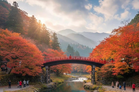 From Tokyo: Nikko World Heritage Sight Full Day Private Tour