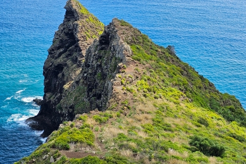 Safari on the North Side of Madeira- Fajã da Nogueira