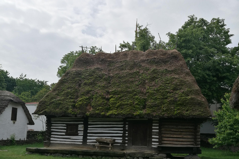 Visita panorâmica de Bucareste com três paragens e duas visitas.