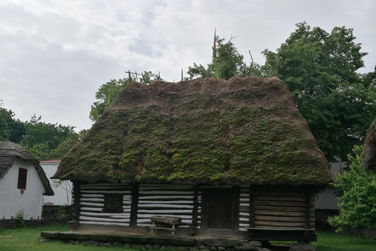 Panoramische tour door Boekarest met drie stops en twee bezoeken.