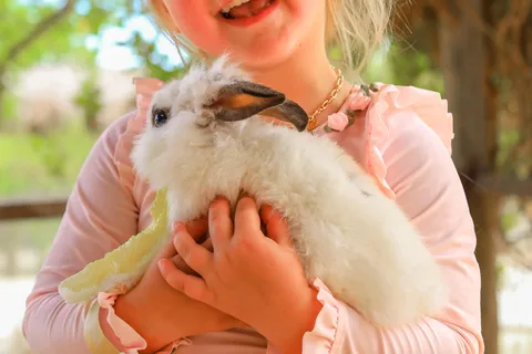 Los Cabos: Encuentro con Animales y Aventura en el Parque Acuático