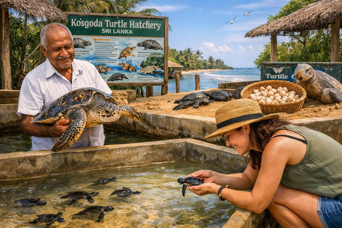 Colombo: Cinnamon Trails & Turtle Tales Balapitiya, Kosgoda