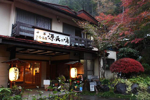 Osaka: Parque de Nara, Uji Matcha, Templo Todaiji, Excursión de un Día a los Onsen