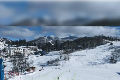 Tokyo: Nagano Private Tour with Igloo Village & snow Monkeys