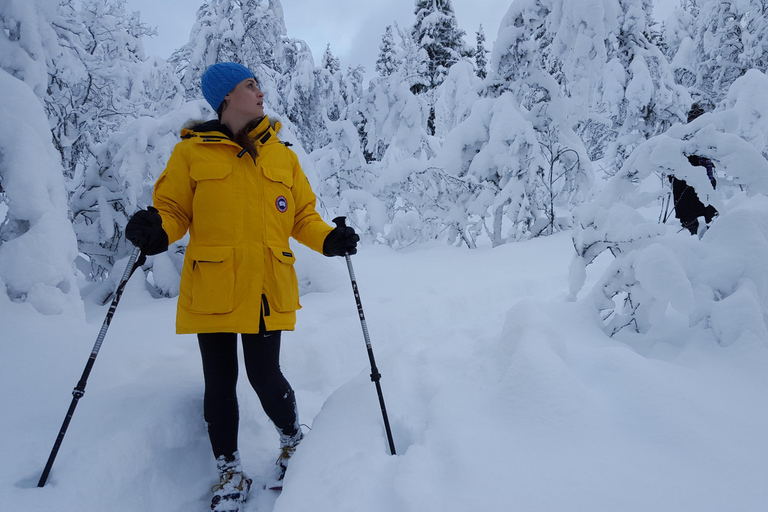 Tromsø: Guided snowshoe trip on Tromsøya