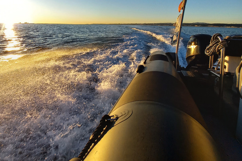 Lisboa: Passeio de SpeedBoat ao pôr do sol ou à luz do dia