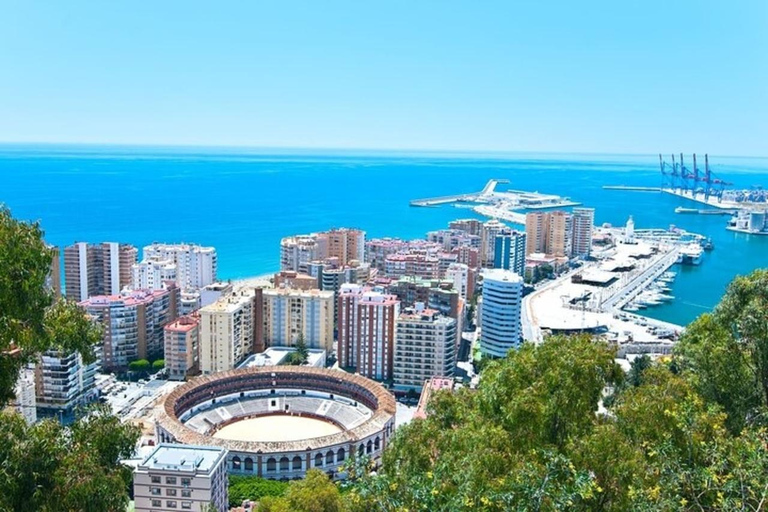 Malaga : visite à pied des sites incontournablesVisite privée