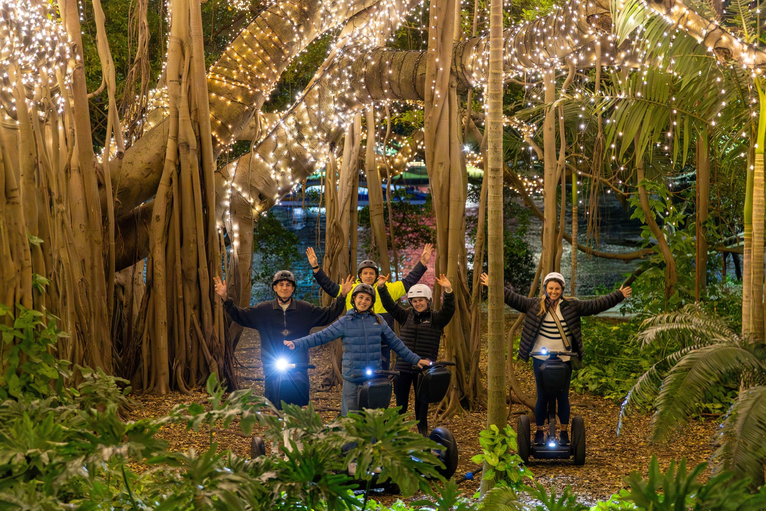 2,5 Stunden Brisbane: Sightseeingtouren – morgens und abends