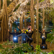 2.5-Hour Brisbane: Sightseeing Tours - Morning & Night