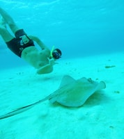 Cozumel, Starfish, Stingrays y Turtle Bay Snorkeling Tour - Housity