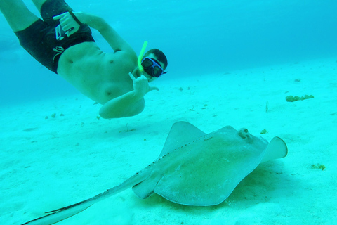 Cozumel: Starfish, Stingrays, and Turtle Bay Snorkeling Tour