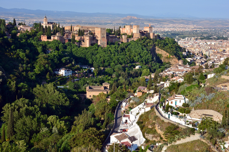 Granada Excursion: Albayzín and Sacromonte Tour from Estepona and Marbella