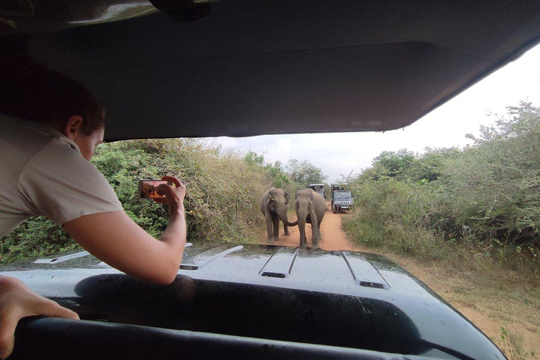 From South Coast: Udawalawe Park Safari with Ella Drop-off