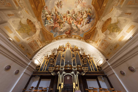 Viena: ingresso para a Karlskirche com terraço panorâmico