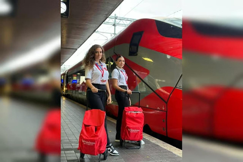 Rome: Vesuvius, Pompeii or Herculaneum by High-speed Train Pompeii Spanish Guided Tour & Vesuvio Entry ticket