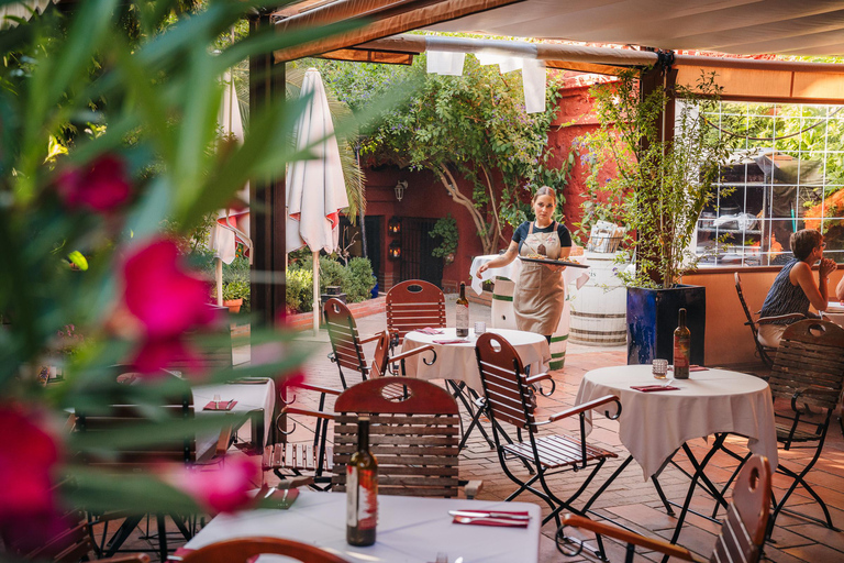 Granada: Jantar com Paella num Terraço do Albayzín e Flamenco ao Vivo