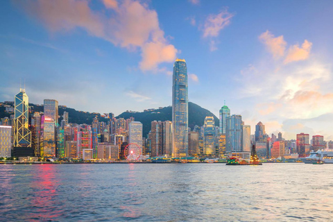 Hongkong: Privé auto of minibus met chauffeur6-uur privé met chauffeur