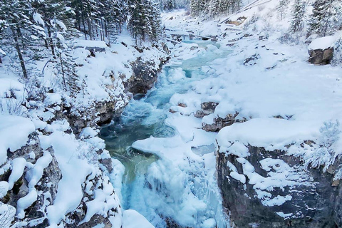 Banff/Canmore: Johnston Canyon & Marble Canyon Signature Private Experience - Small Group