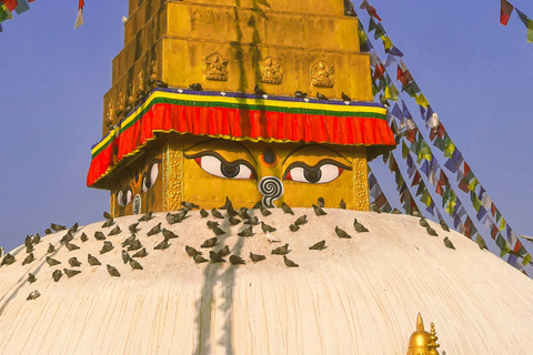 加德满都：神圣佛塔之旅（含冥想）加入旅游