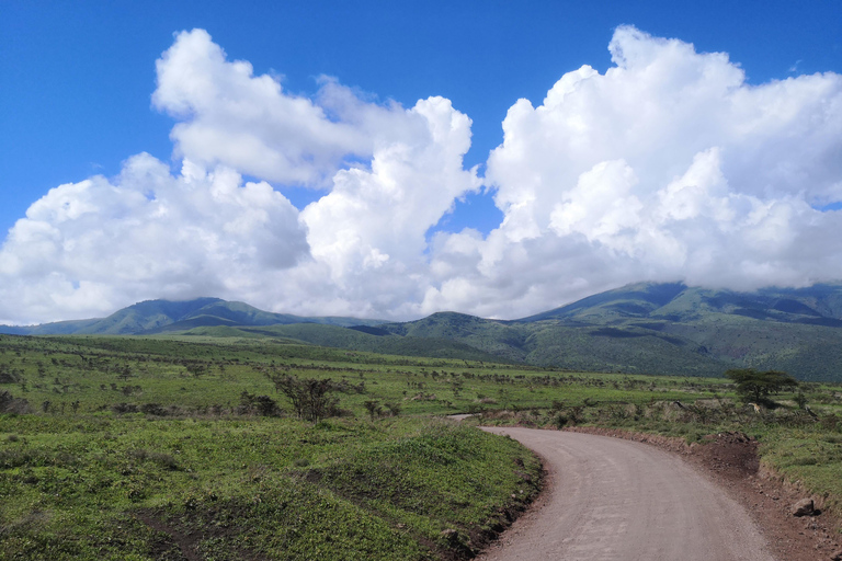 5Dagar, Tanzania safariStadsrundtur i Arusha.