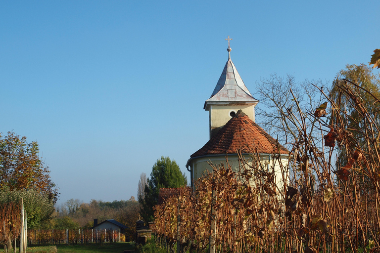 Novigrad Podravski: Vineyard Walking Tour in Podravina