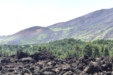 Från Taormina: Rundtur på Etna med matupplevelse och vinprovning