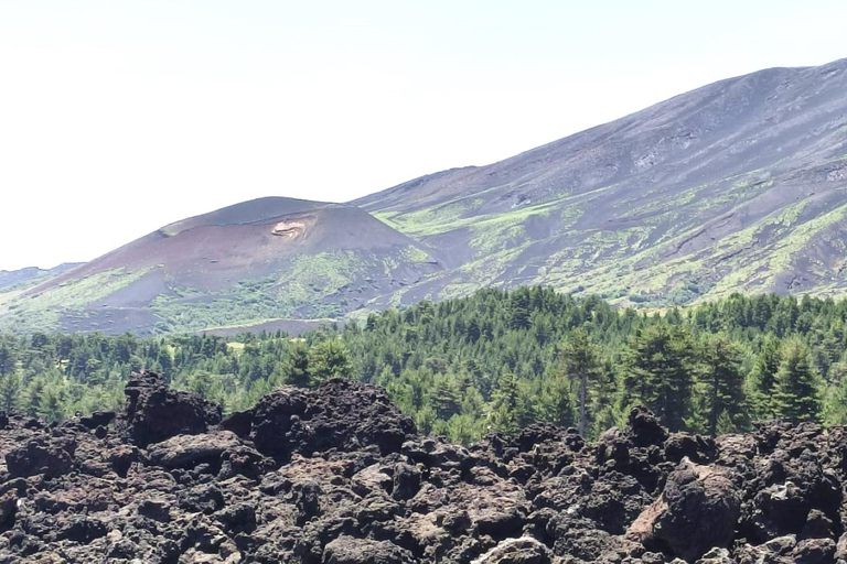 Från Taormina: Rundtur på Etna med matupplevelse och vinprovning