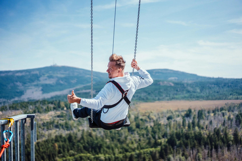 Harzturm: High Swing Experience