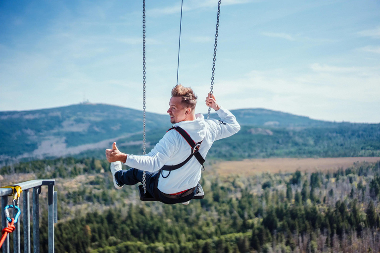 Harzturm: High Swing Experience