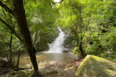 Cascadas, Reserva de Animales y chocolate: Paso del Mango